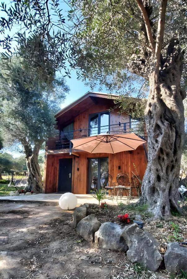 Coratina Cottage อุลซิน ภายนอก รูปภาพ