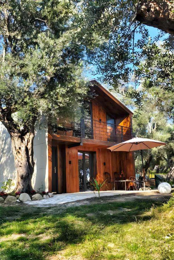 Coratina Cottage อุลซิน ภายนอก รูปภาพ